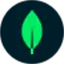 mongodb